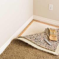 Carpet Pro Services image 2